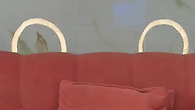 BridgetRodriguez's Live XXX Chat
