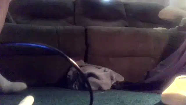 Big-ol-Hot-Rod's Webcam Show