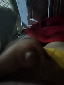 Show webcam de mM0140