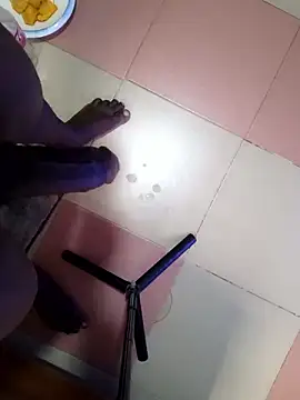 Pertunjukan Kamera Web TICKDICK320