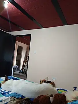 PaulinaLondra2 Webcam Show