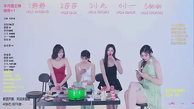 TY-002 Show in webcam