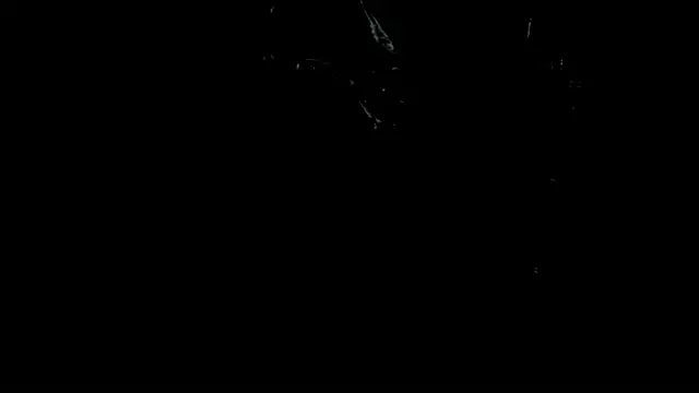 master_leather Show Webcam