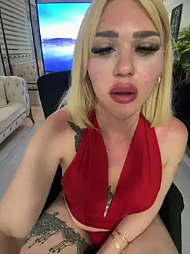 TS_sanida webcam show