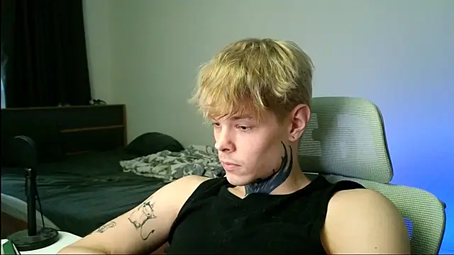 DENIS_HEREのウェブカメラショー