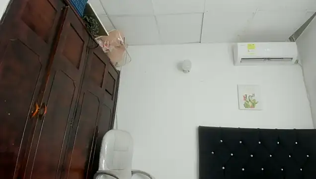Webkamerová show barbie_ds