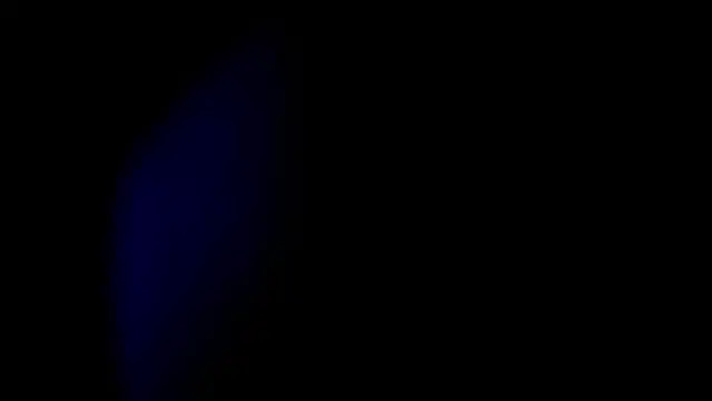 real_ci45 Live XXX-Chat
