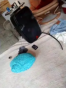 Yankeedave420 Live XXX Chat