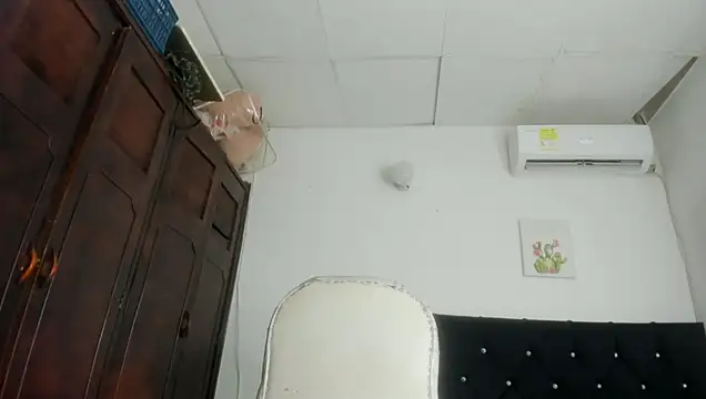 Pertunjukan Kamera Web barbie_ds
