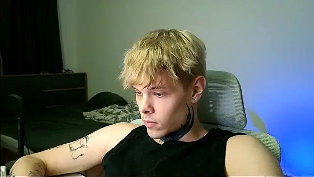 DENIS_HERE Show Webcam