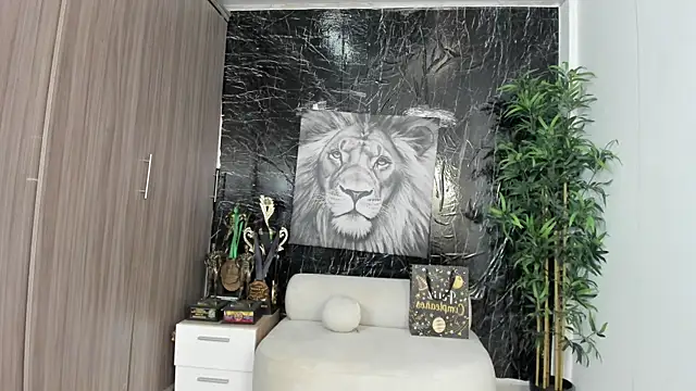 Erik_castle Show Webcam