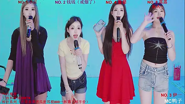 ZZ00033S 网络视讯表演