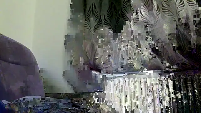 FROL83's Webcam Show