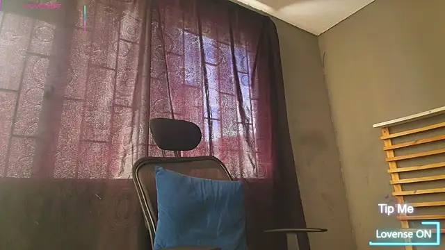PaulEvens Show Webcam