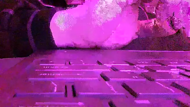 FROL83のウェブカメラショー