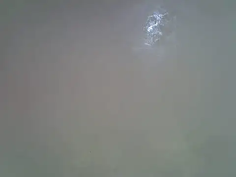 Rasta_tattooed's Live XXX Chat