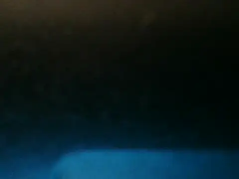 Webkamerová show 82liska