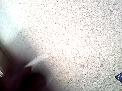 boiipussy702 Show in webcam