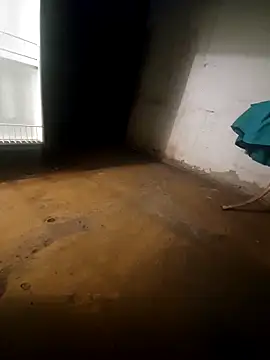 Claudioxavier2n Webbikameraesitys