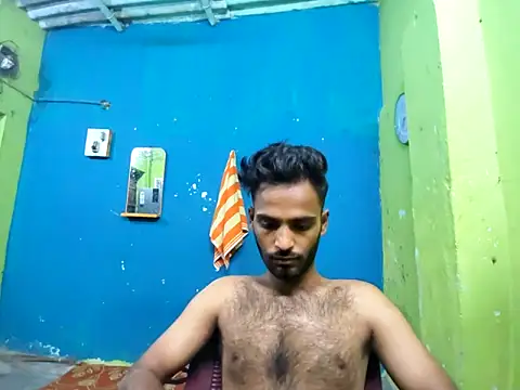 originaLUND Show Webcam