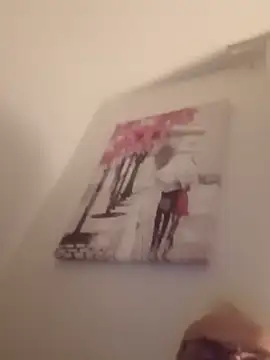 Webkamerová show Dzoj