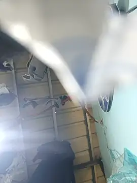 nastyladykinky432 웹캠 쇼