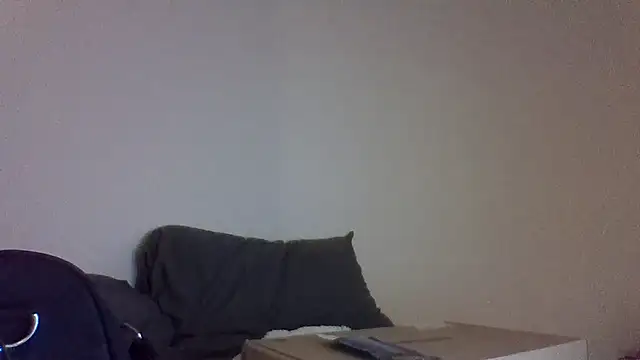 Show webcam de Jbenz420
