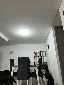 Chat XXX Live Party_Straight