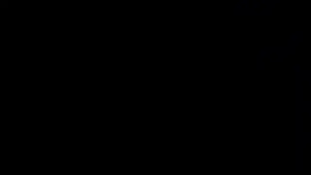 stevefox00 Webcam-Show