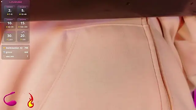 Hiddenhotcake's Webcam Show