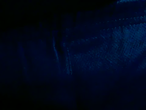 NinfomanoLOGANn Webbikameraesitys