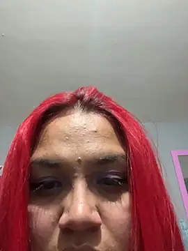 GEMMA2008 Webcam show