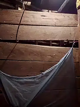 Man_Cheryy 网络视讯表演