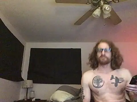 blackbird-84 Show in webcam