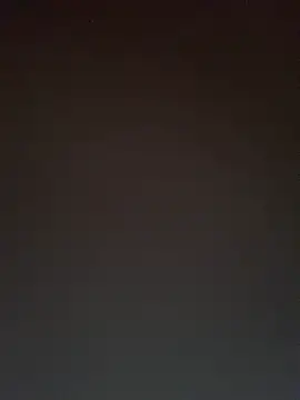 TheDime Webcam-Show