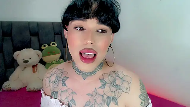 little_star_porn 웹캠 쇼