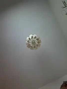 DildoG45 Chat XXX live