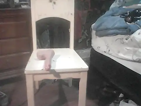 Show Webcam de Twoslipperywhenwett