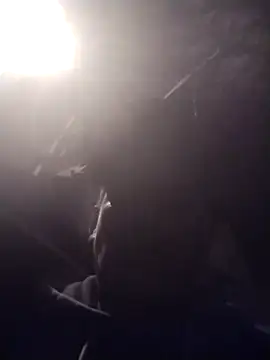 عرض كام Perico_u_