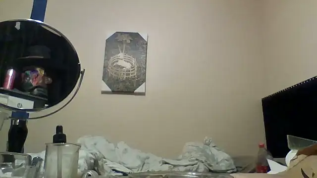 hailzeffn's Webcam Show