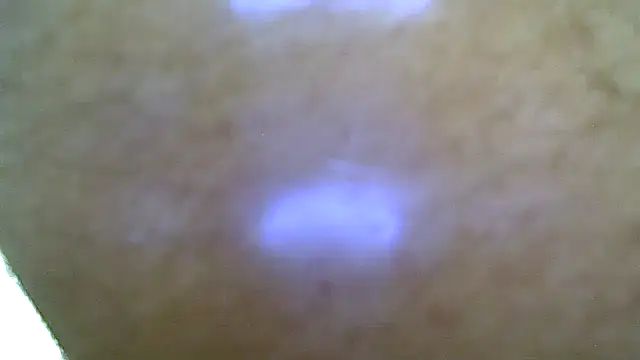 Show Webcam de xfri77