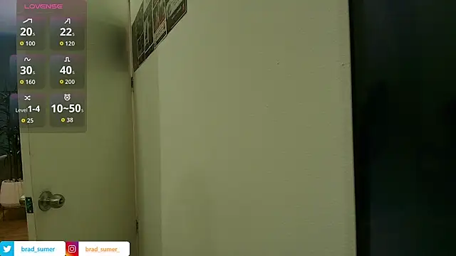 Brad_Summerのウェブカメラショー