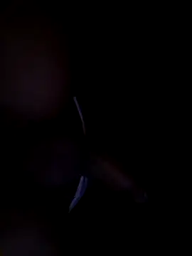 Вебкам-шоу Babyhot_col