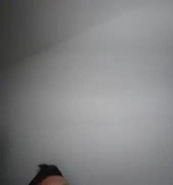 GermanBigDream webcam show