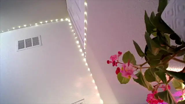 PrincessCarmela 라이브 XXX 채팅