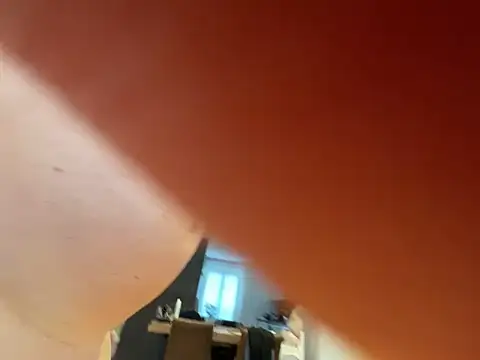 The_Oldbull Webcam Show