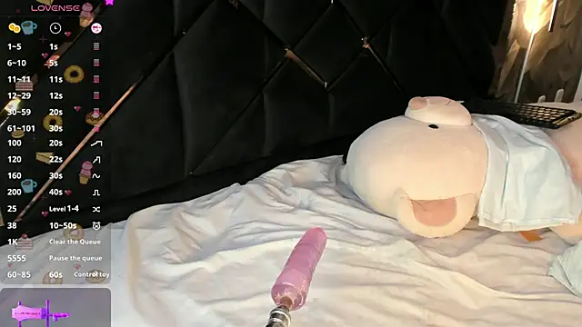 KaelSoft_ Webcam show