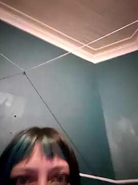 VoidKitten 웹캠 쇼
