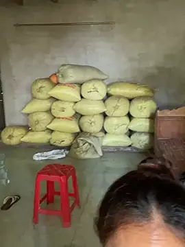 Chat +18 de namicute ao vivo