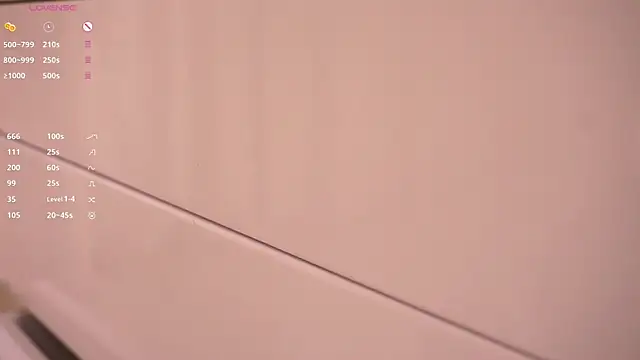 LauriIdrisn Webbikameraesitys